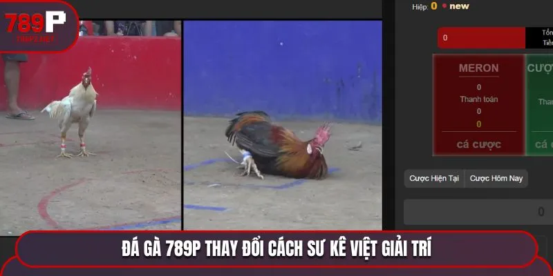Đá gà 789P thay đổi cách sư kê Việt giải trí